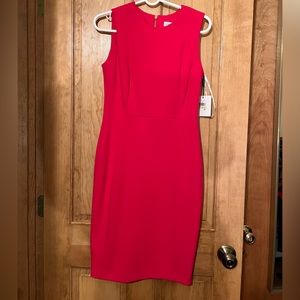 Calvin Klein Sheath Dress